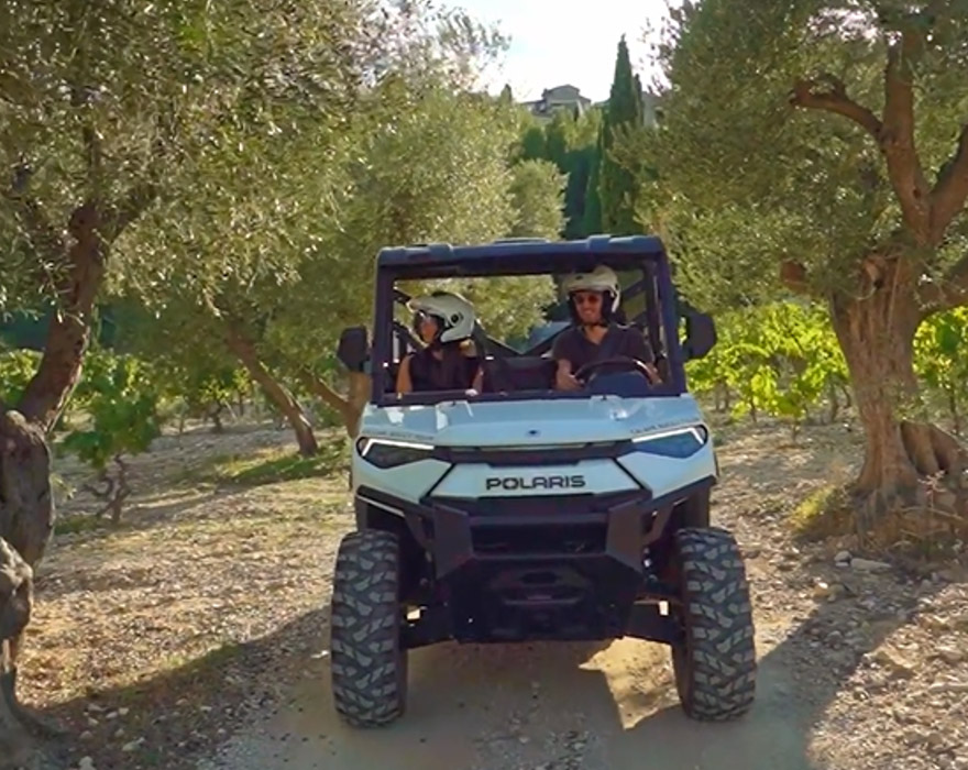 Buggy ride through the vineyards Cassis