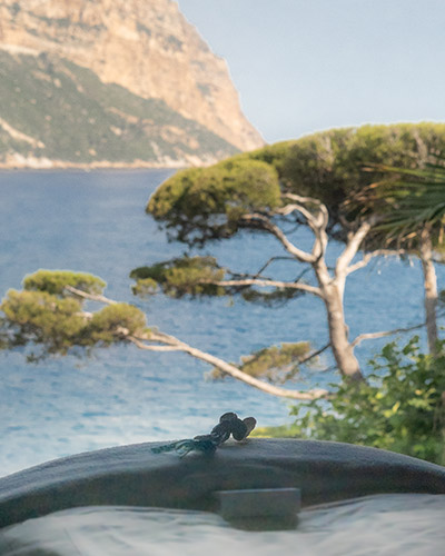 Treatment and massage at the Spa Sisley in Cassis | Hotel Roches Blanches